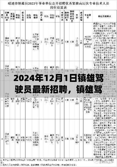 聚焦产业脉动与人才汇聚，镇雄驾驶员最新招聘启事，开启2024年人才招募之旅