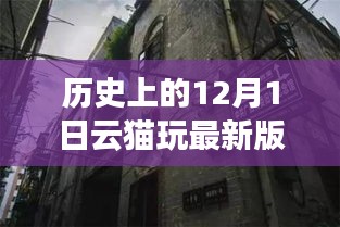 云猫玩最新版，探秘小巷深处的神秘角落的历史之旅