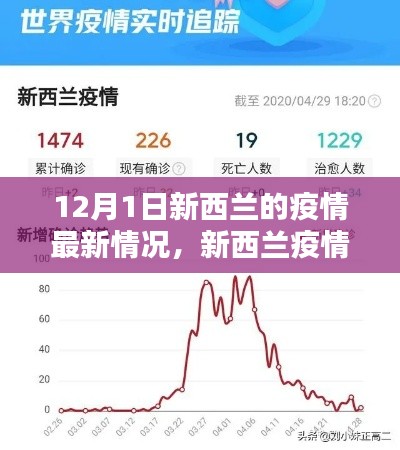 新西兰疫情动态更新，曙光与挑战并存，12月最新报告解读