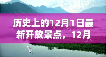 12月1日新景点开启，家庭温馨之旅的历史瞬间