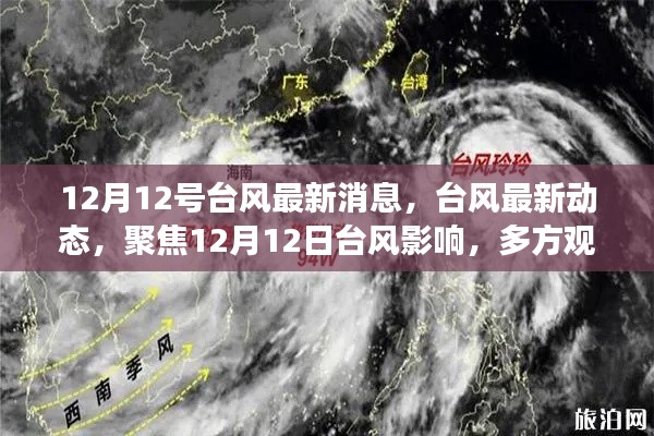 12月12日台风最新动态与深度解读，多方观点聚焦台风影响