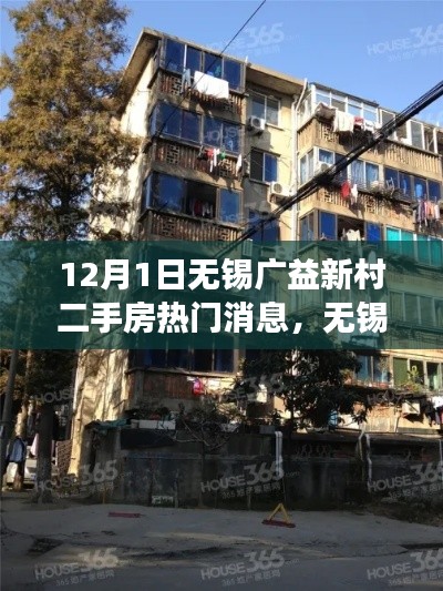 无锡广益新村二手房市场最新动态，热门消息与12月新动向热议及其影响