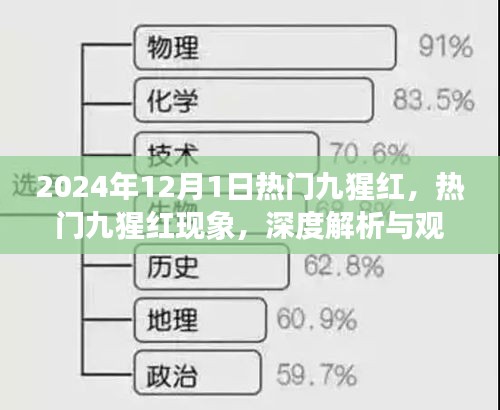 深度解析与观点阐述，热门九猩红现象在2024年12月1日的盛行