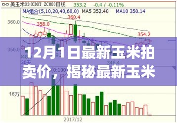 揭秘最新玉米拍卖行情，12月市场分析，最新玉米拍卖价公布