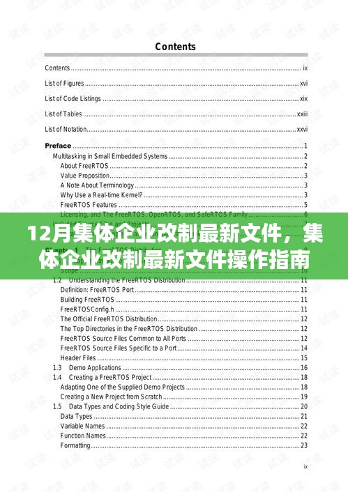 集体企业改制最新文件详解与操作指南，初学者与进阶用户必备参考