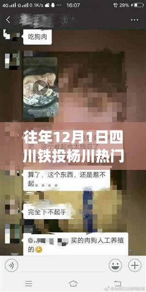 四川铁投杨川公示热议背后的深度分析与观点碰撞