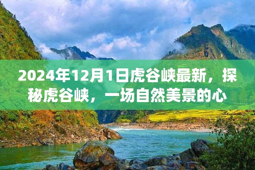 2024年12月1日虎谷峡最新，探秘虎谷峡，一场自然美景的心灵之旅，启程于2024年12月1日