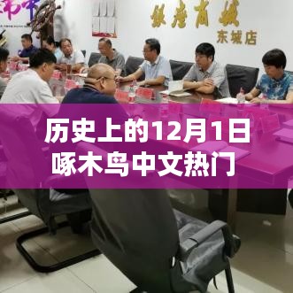 科技重塑生活，啄木鸟中文热门下载在12月1日新品重塑未来体验