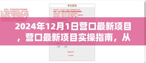 营口最新项目实操指南，从入门到精通的一步到位（2024年12月版）