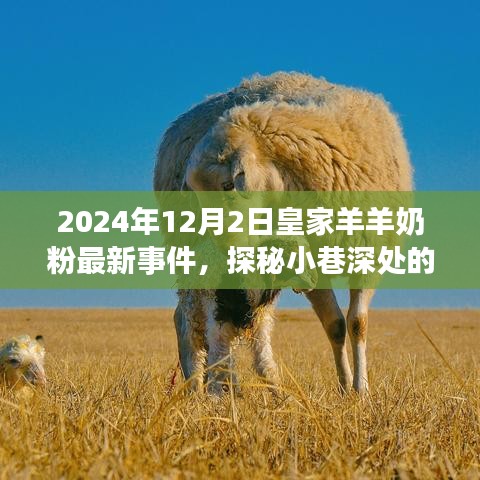 2024年12月2日皇家羊羊奶粉最新事件，探秘小巷深处的皇家羊羊奶粉故事，2024年12月2日的惊喜发现