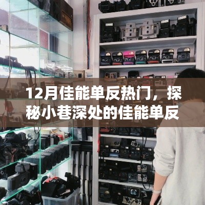 探秘十二月佳能单反宝藏店，热门相机潮流与小巷深处的宝藏探秘