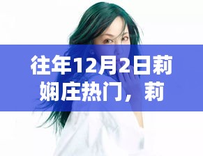 莉娴庄盛典全景解析，历年12月2日热门活动回顾与展望