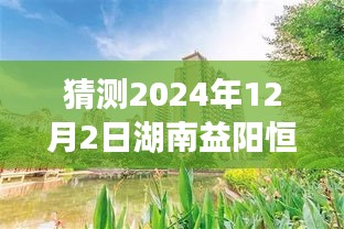 湖南益阳恒大绿洲的温馨日常，友情、爱与陪伴的奇妙故事（最新预测）