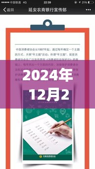 农商银行里的温馨日常，友谊、爱与陪伴的故事（2024年12月2日最新资讯）