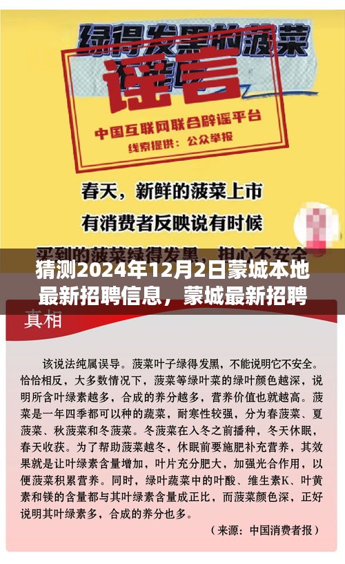 蒙城最新招聘信息获取攻略，预测与获取蒙城本地最新招聘动态（2024年12月）