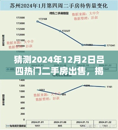 揭秘，吕四热门二手房市场预测——聚焦2024年12月2日的趋势洞察