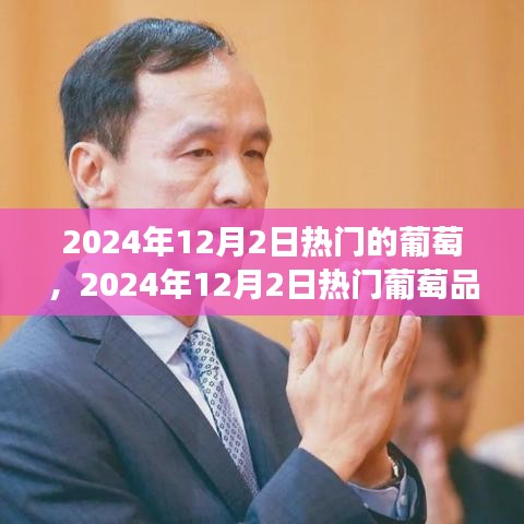 2024年热门葡萄品种市场趋势与品鉴指南