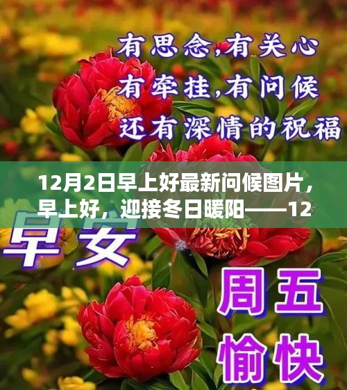 12月2日冬日暖阳问候图片，分享美好早晨，迎接全新一天