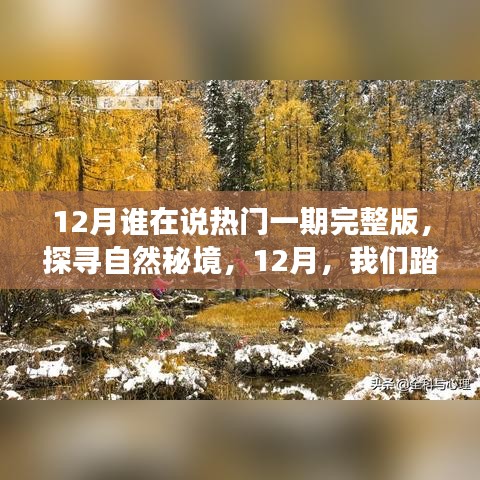 12月谁在说热门一期完整版，探寻自然秘境，12月，我们踏上寻找内心平静的旅程