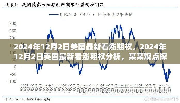 美国最新看涨期权深度解析，观点探讨与未来趋势预测（2024年12月2日）