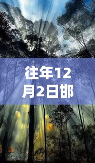 神采奕奕 第6页