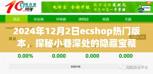 探秘小巷深处的宝藏，揭秘热门ecshop版本与特色小店的独特风情