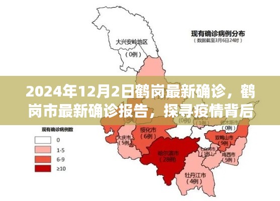 探寻鹤岗疫情背后的故事，最新确诊报告（鹤岗市疫情动态更新）