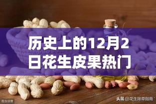 历史上的12月2日花生皮果价格走势解析与入门指南