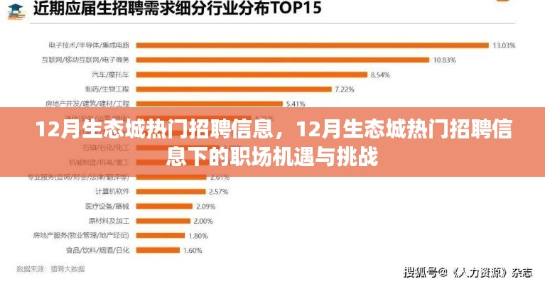 12月生态城热门招聘信息揭秘，职场机遇与挑战并存