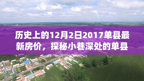 探秘单县房价奥秘，历史、现状与独特风情的小巷故事及特色小店体验纪实