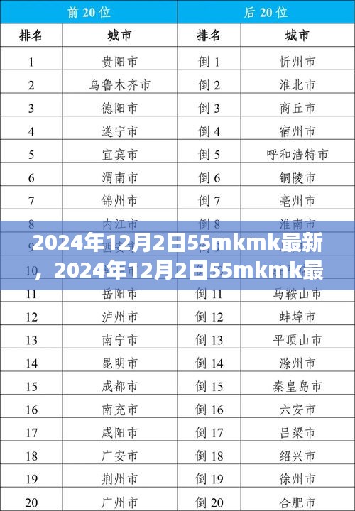 2024年12月2日55mkmk最新趋势展望与未来关键策略解析