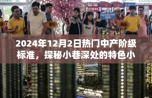 揭秘中产阶级新风尚，小巷特色小店与热门标准探秘（2024年）