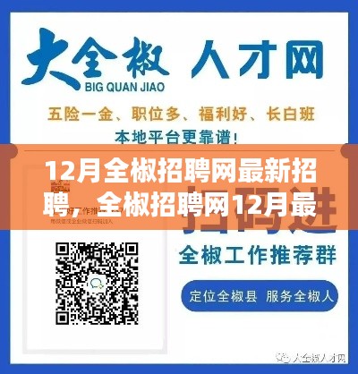 全椒招聘网12月最新招聘盛况全面解析