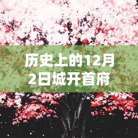 历史上的十二月二日，城开首府热门动态深度回顾与解析