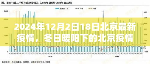 冬日暖阳下的北京疫情，友情、日常与爱的力量，最新疫情动态（2024年12月）