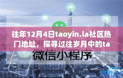 历年12月4日taoyin.la社区热门地址回顾，岁月辉煌与深远影响