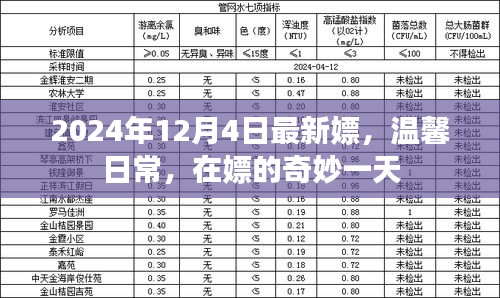 温馨日常与奇妙一天，探索嫖的奇妙世界（2024年12月4日最新）