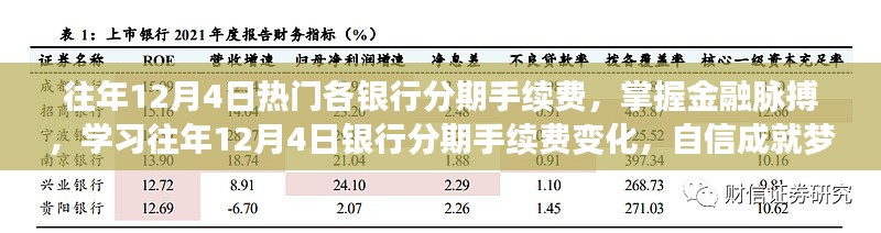 往年12月4日银行分期手续费概览，洞悉金融变化，助力梦想实现之旅