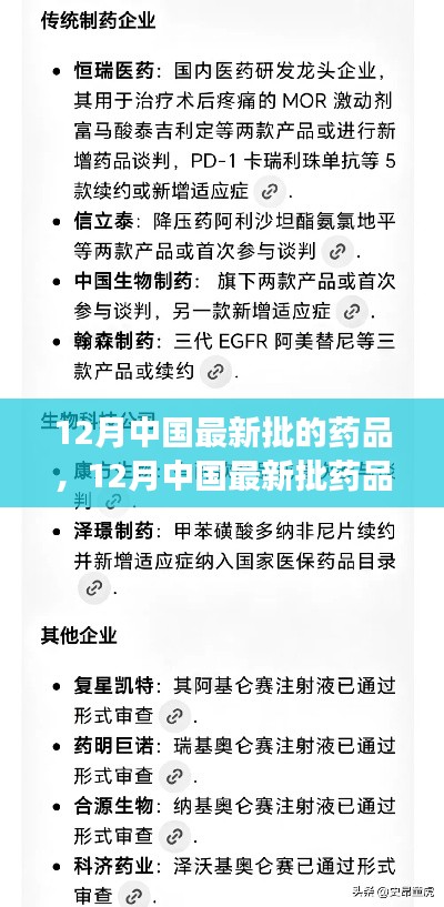 12月最新药品批次指南，获取与使用详解，初学者与进阶用户必读