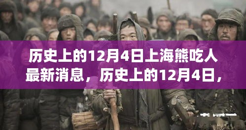 历史上的12月4日上海熊吃人事件回顾与最新解读