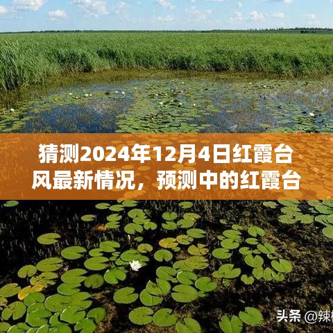 红霞台风最新预测分析，预测走向及影响