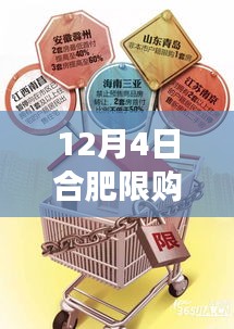 揭秘合肥楼市新动向，解读合肥限购令最新政策动态（12月4日）