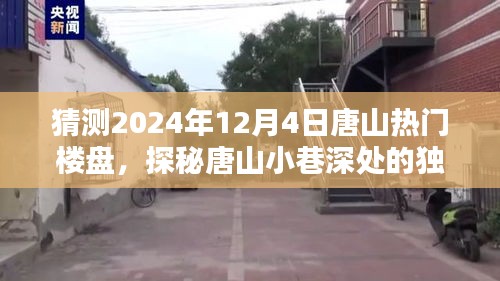 探秘唐山未来热门楼盘与小巷独特魅力，揭秘未来新星与隐藏特色小店（预测至2024年12月4日）