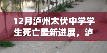 泸州太伏中学学生死亡事件最新进展，自然之旅的心灵复苏之路