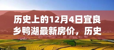 历史上的12月4日宜良乡鸭湖最新房价探析，深度了解房产市场动态