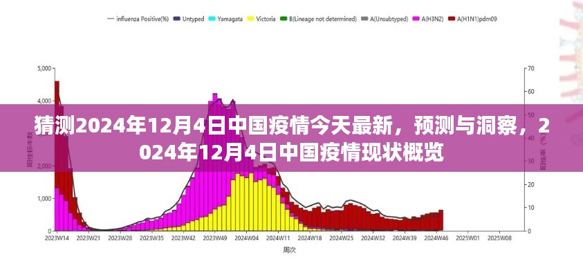 猜测2024年12月4日中国疫情今天最新，预测与洞察，2024年12月4日中国疫情现状概览