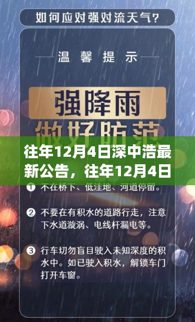 往年12月4日深中浩最新公告，往年12月4日深中浩发布最新公告，洞悉企业动态与未来展望