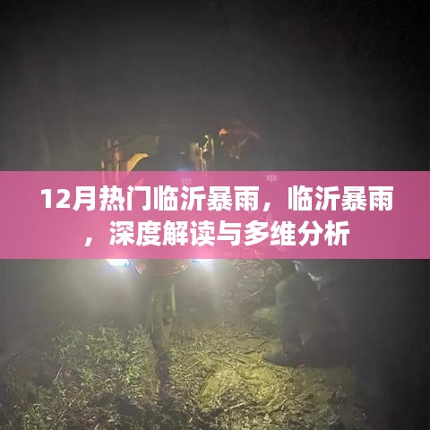 临沂暴雨深度解读与多维分析，12月暴雨现象探讨