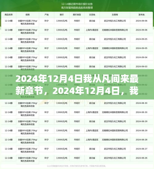 探索未知世界的奇幻之旅，2024年12月4日遇见凡间最新章节