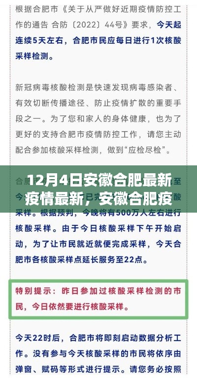 12月4日安徽合肥最新疫情最新，安徽合肥疫情现状解析，某某观点探讨与深度分析